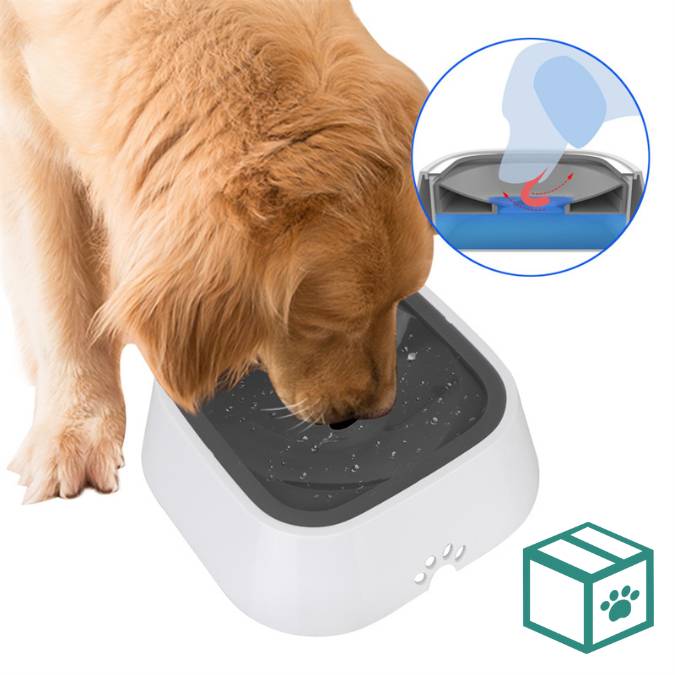 HydroPaws Pet Water Bowl