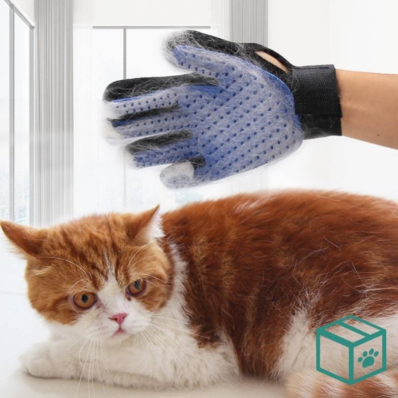 FurrCare Grooming Glove